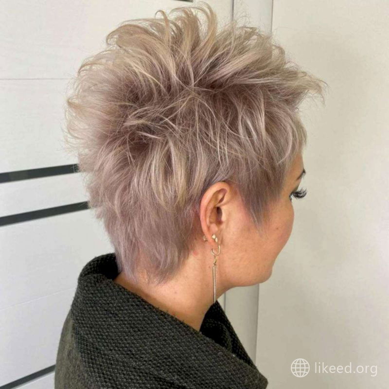 Back View – Edgy & Voluminous Layered Pixie Cut
