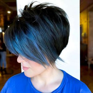 Blue-Tinted Elegance: A Modern Take on the Classic Pixie Bob