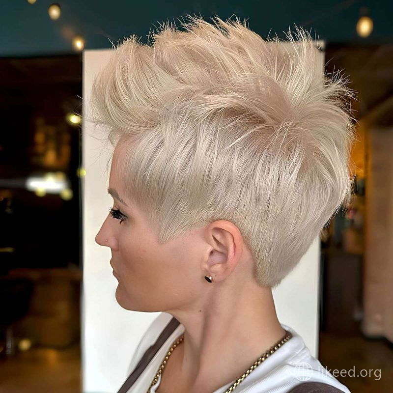 Spiky Platinum Pixie